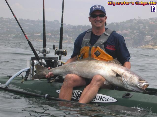 Kayak White Seabass