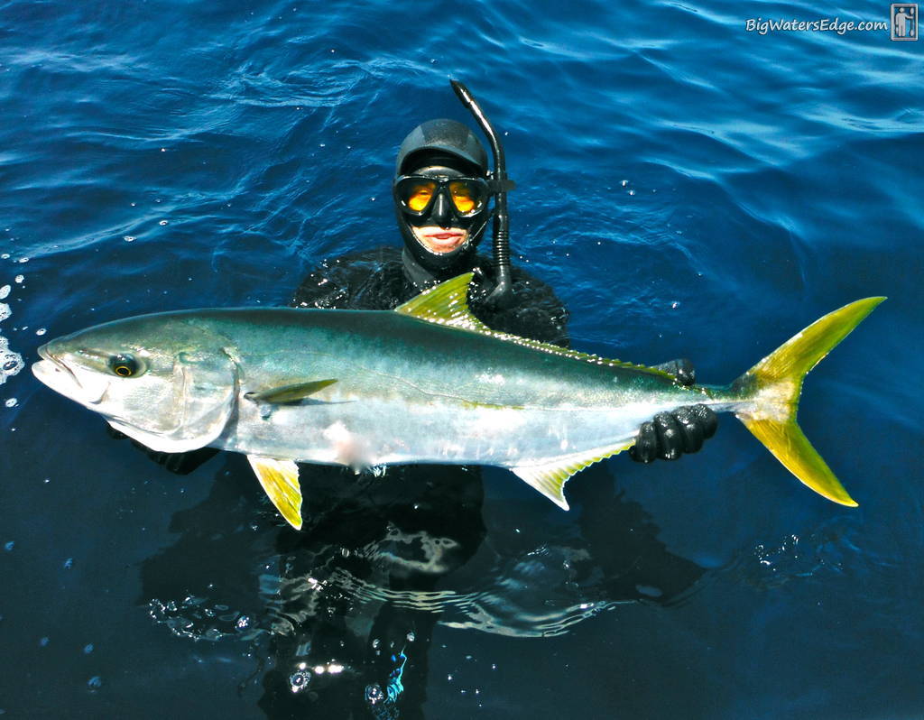 Protecting the fish finder cable connections - Kayak Fishing Adventures on  Big Waterâ€™s Edge