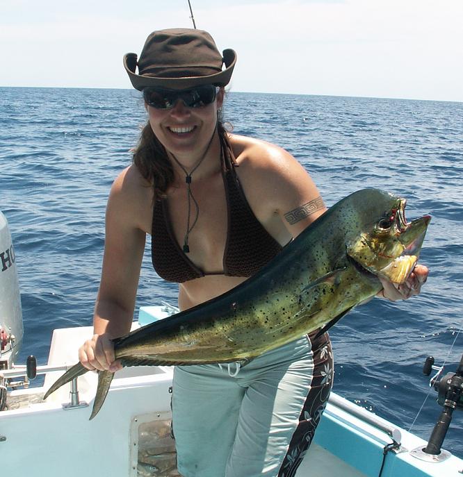 Name:  Courtney Bull Dorado 2.jpg
Views: 538
Size:  119.1 KB