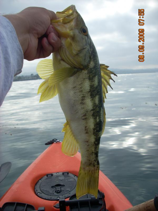 Name:  DSCN0261.jpg
Views: 2871
Size:  51.7 KB