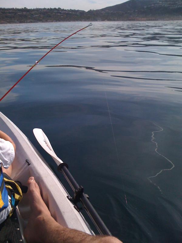 Name:  kayak fishing 138.jpg
Views: 1495
Size:  50.5 KB
