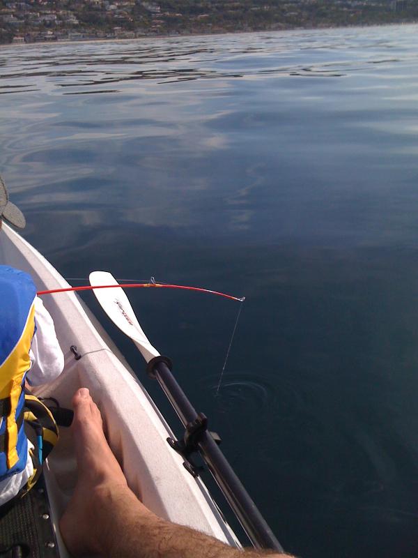 Name:  kayak fishing 045.jpg
Views: 846
Size:  49.6 KB