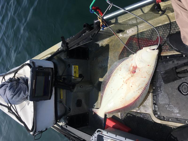 Catching a Halibut and a Calcutta 400 - Kayak Fishing Adventures on Big  Waterâ€™s Edge