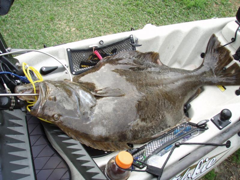 Name:  12-4-12d.jpg.jpg
Views: 2113
Size:  92.6 KB