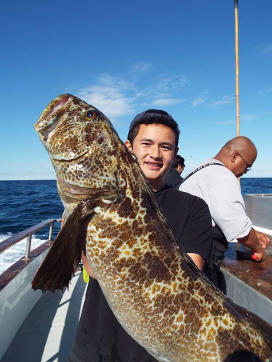 Name:  Roman's Lingcod JP.jpg
Views: 859
Size:  62.4 KB