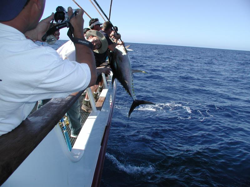 Coming over the rail...224 lbs