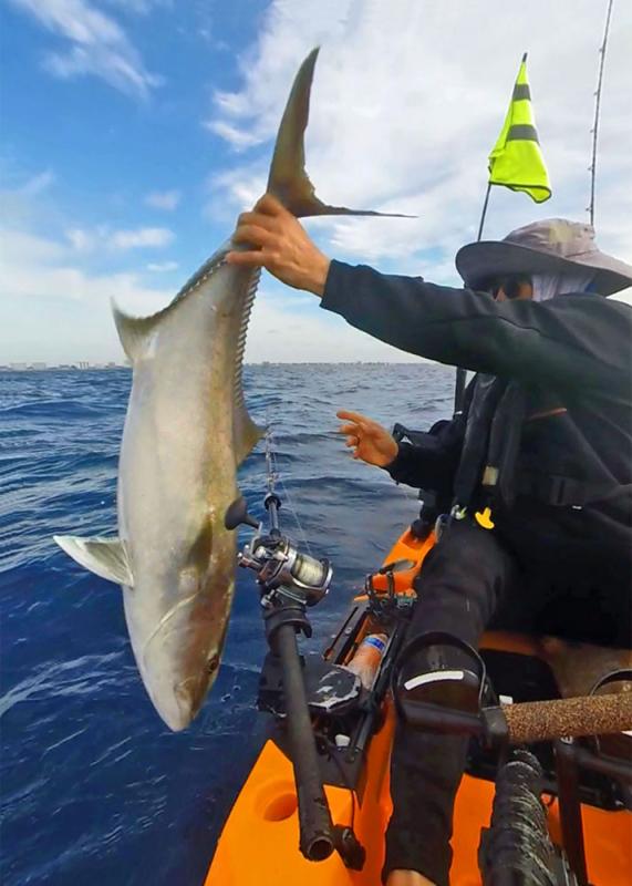 Amberjack living to fight another day.