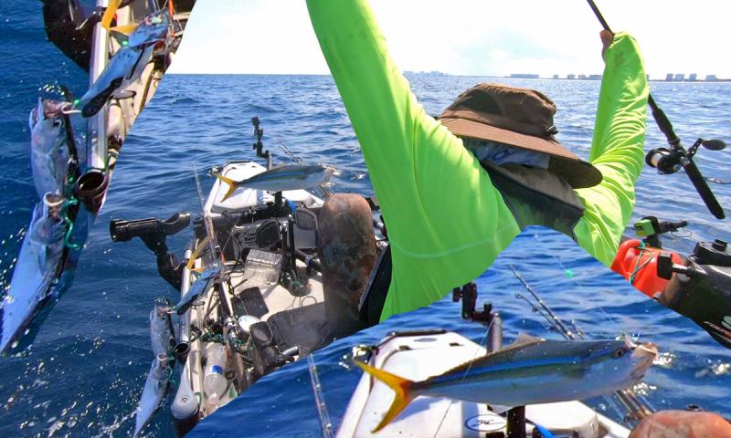 Rainbow Runner and Little Tunnies on a Hayabusa D119 Sabiki