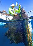 Federal Reg - It is illegal to remove a billfish from the water that is intended for release in the Atlantic.