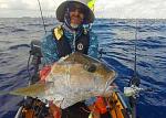 Vertical jigged Amberjack