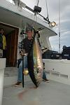 American Angler 225 lb yellowfin