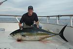 American Angler 225 lb yellowfin