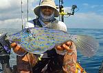 A File Fish has sharp teeth that can bite through an aluminum can.