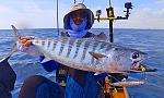 Atlantic Bonito on a Slow Pitch Jig.