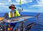 King Mackerel taken on Little Tunny 10 Oct 2023