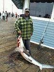 Thresher shark Oceanside pier