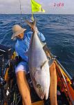 #2 of 8 Catch photo and release Amberjacks