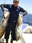 yellowtail and seabass