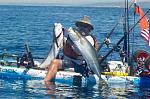 Last yellowtails caught on the Cuda 14 before selling it.  A couple of 30-31lbs. These were donated to HOW, for the event fish taco lunches.