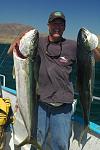 Cedros Outdoor Adventures Yellowtails