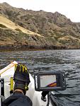 San Clemente Island June 2016,  2.5 day Islander trip.