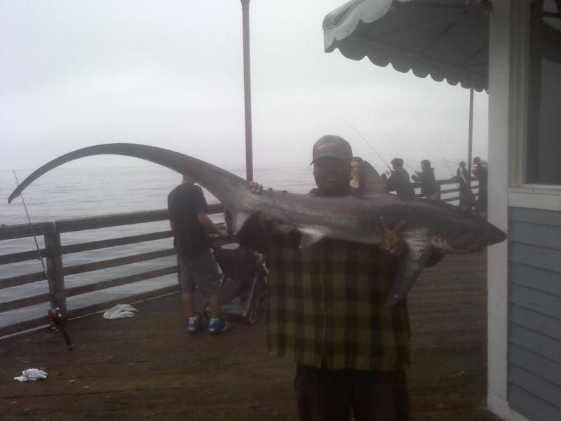 another thresher oside pier